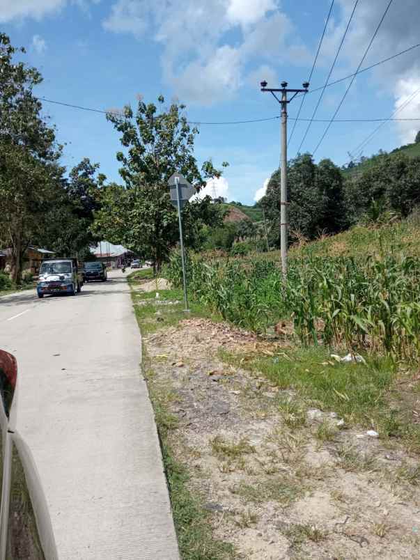 jual tanah kebun di jln raya trans sulawesi