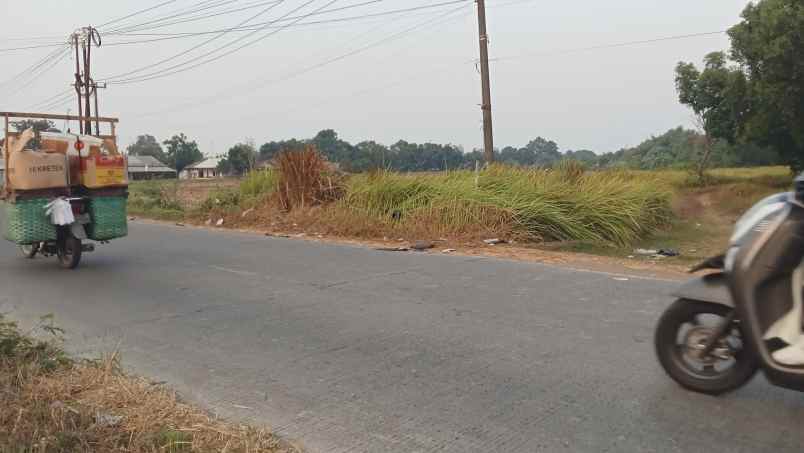 jual tanah murah 11 hektar di karawang