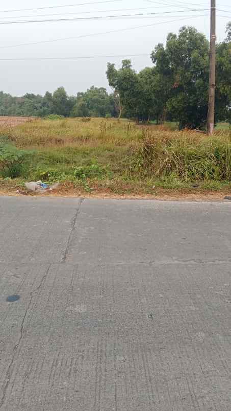jual tanah murah 11 hektar di karawang