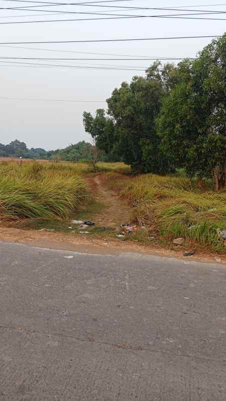 jual tanah murah 11 hektar di karawang