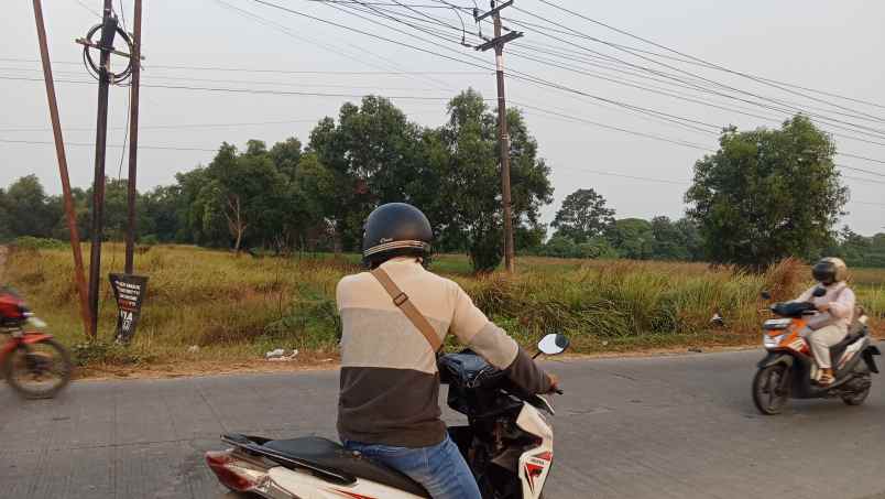 jual tanah murah 11 hektar di karawang