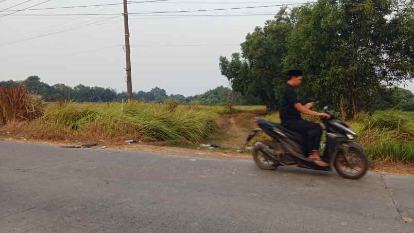 jual tanah murah 11 hektar di karawang