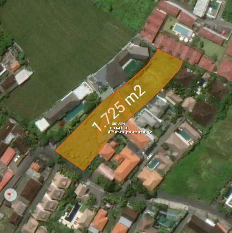 jual tanah murah di canggu 1725 m2