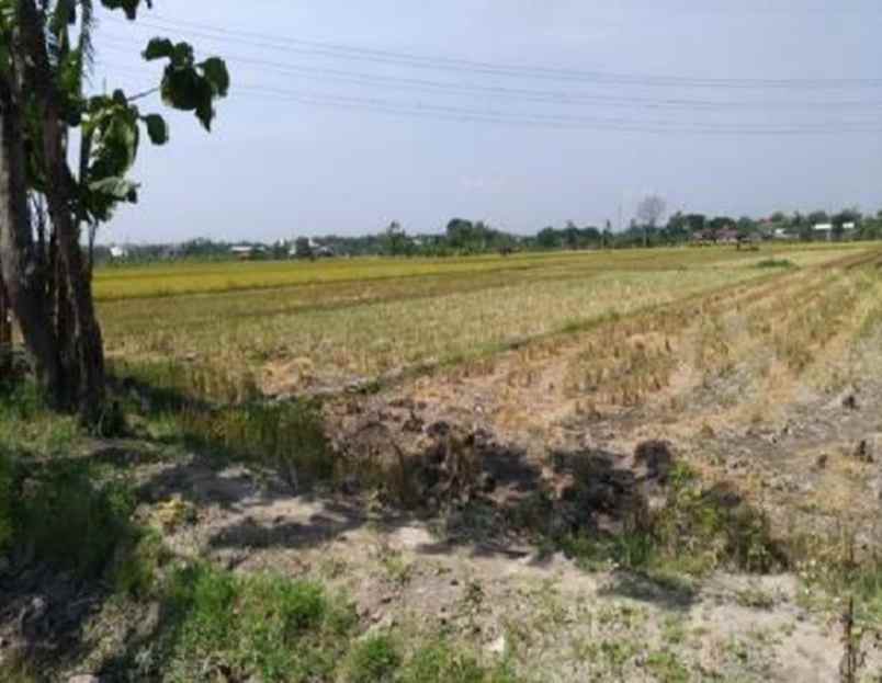 jual tanah strategis di desa langen harjo sukoharjo