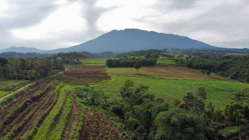 kavling villa premium di ciawi puncak bogor