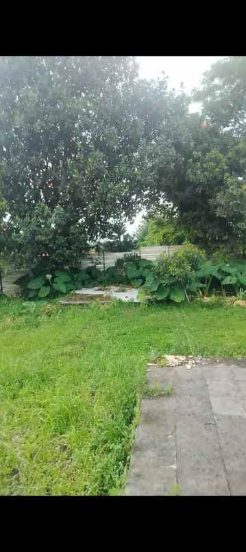lahan tanah kosong di area villa edelwis