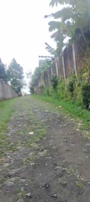 lahan tanah kosong di area villa edelwis