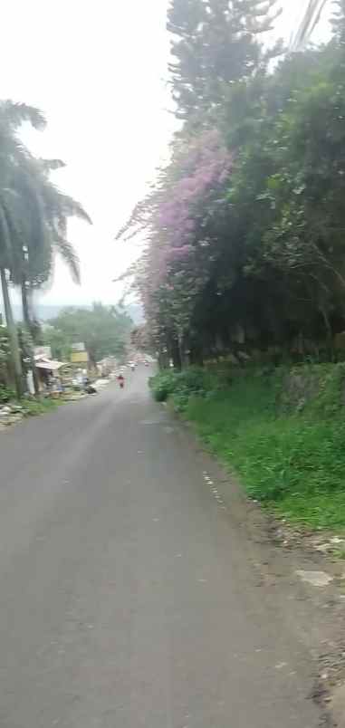 lahan tanah kosong di area villa edelwis