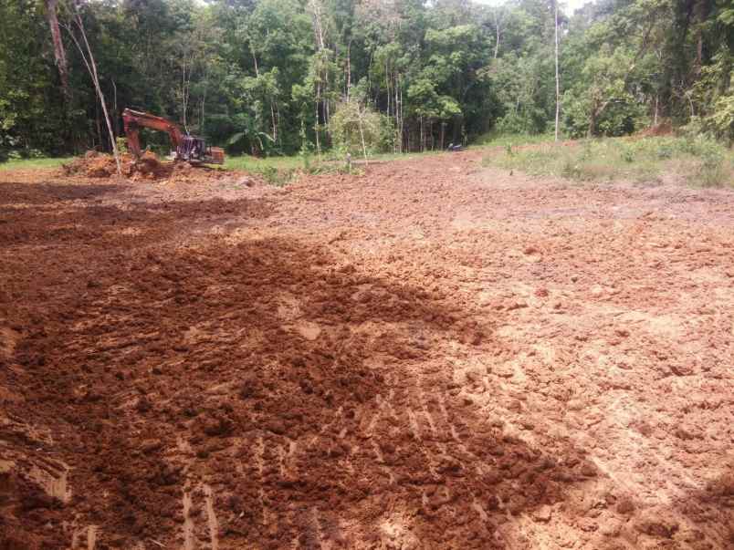 luas tanah 2377m jual borongan wa telp
