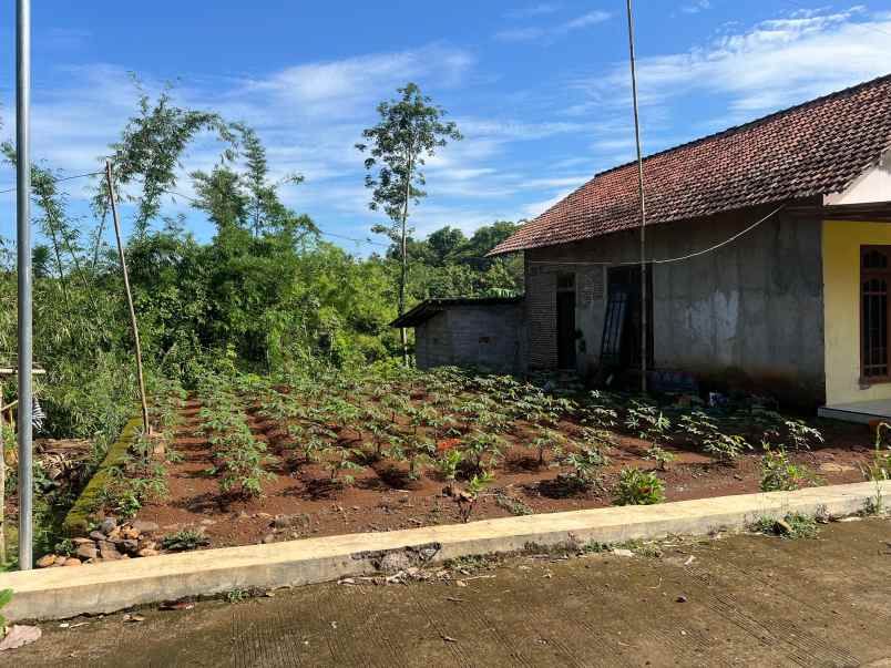 rumah 502m timur pasar kedawung sragen