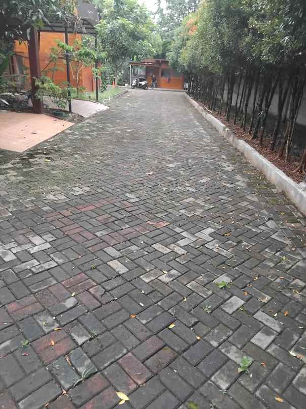 rumah vila model adat lombok