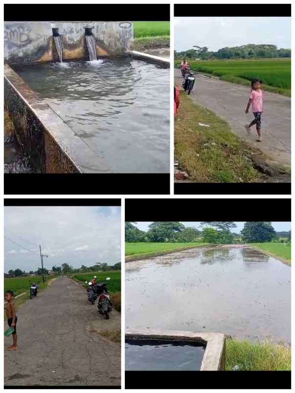 tanah 1910m2 terdapat sumber air diklaten jateng 1 8 m