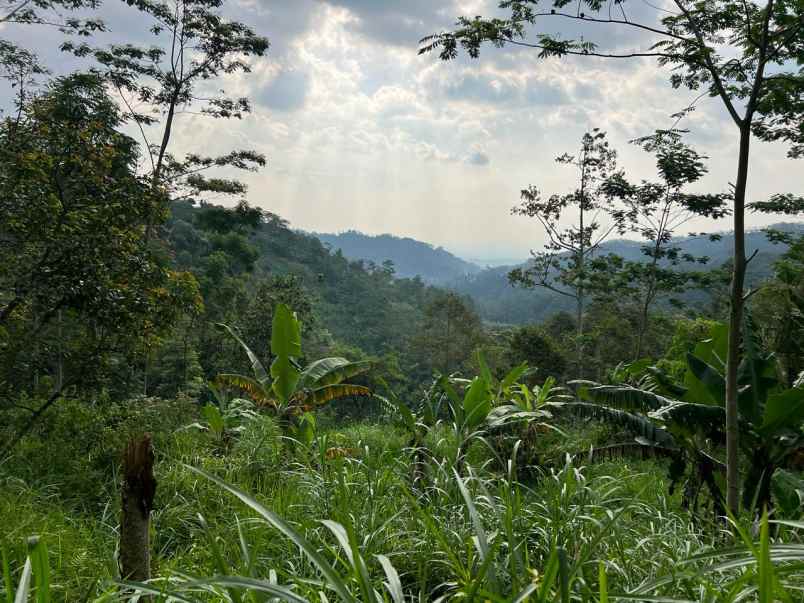 tanah 275 juta udara dingin karanganyar