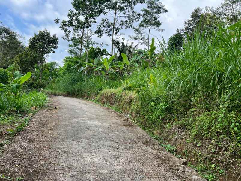 tanah 275 juta udara dingin karanganyar