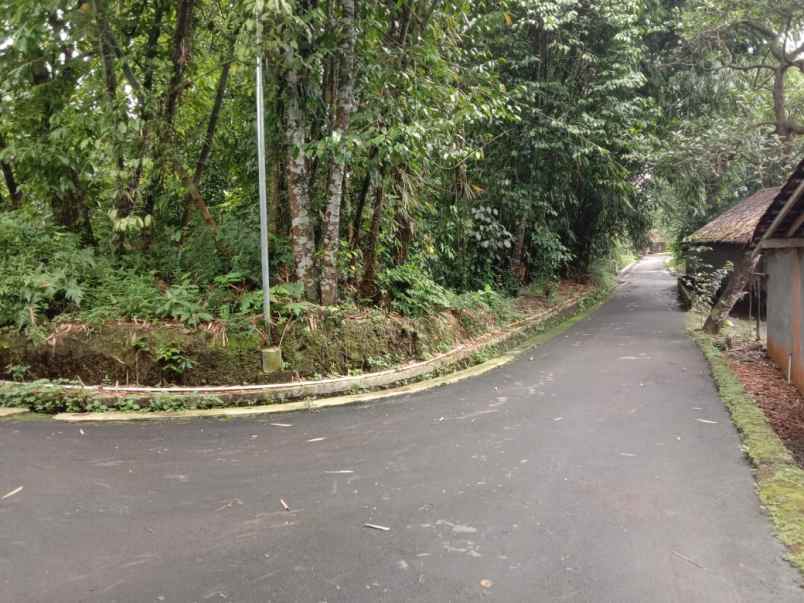 tanah bagus pakem luas tanah 1 179 m 3 muka