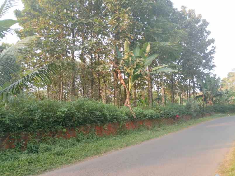 tanah daerah wisata sekitar ciater subang