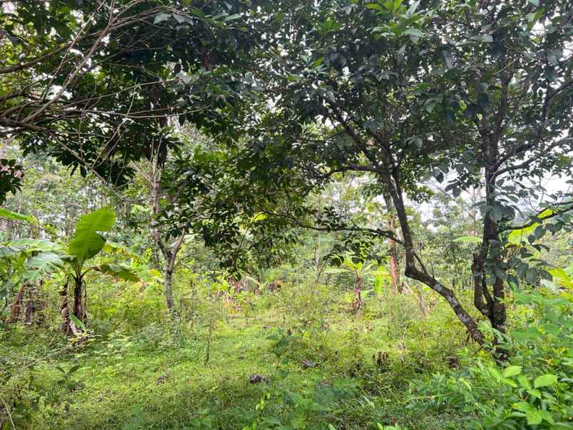 tanah dekat fasilitas umum kerjo karanganyar