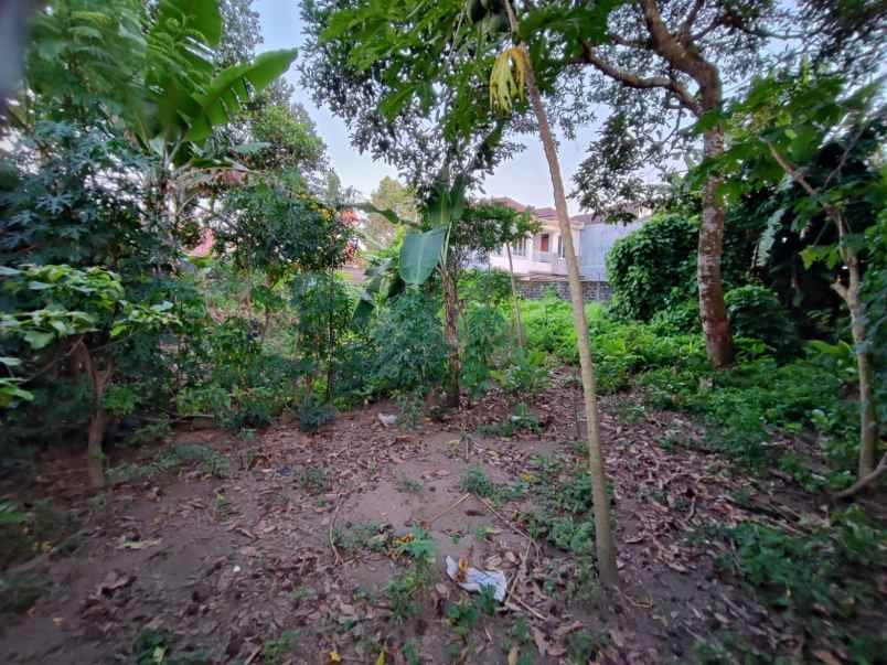 tanah dekat jl palagan ideal dibangun kos