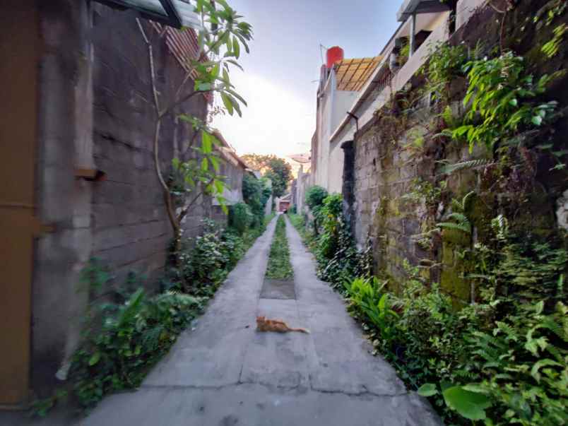 tanah dekat jl palagan ideal dibangun kos