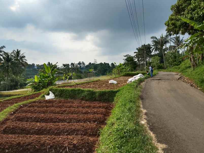 tanah dekat sungai view sawah subang jawa barat