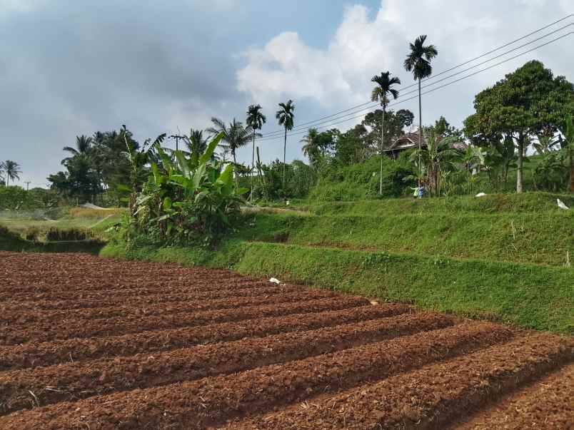 tanah dekat sungai view sawah subang jawa barat