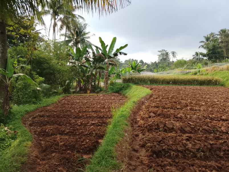 tanah dekat sungai view sawah subang jawa barat