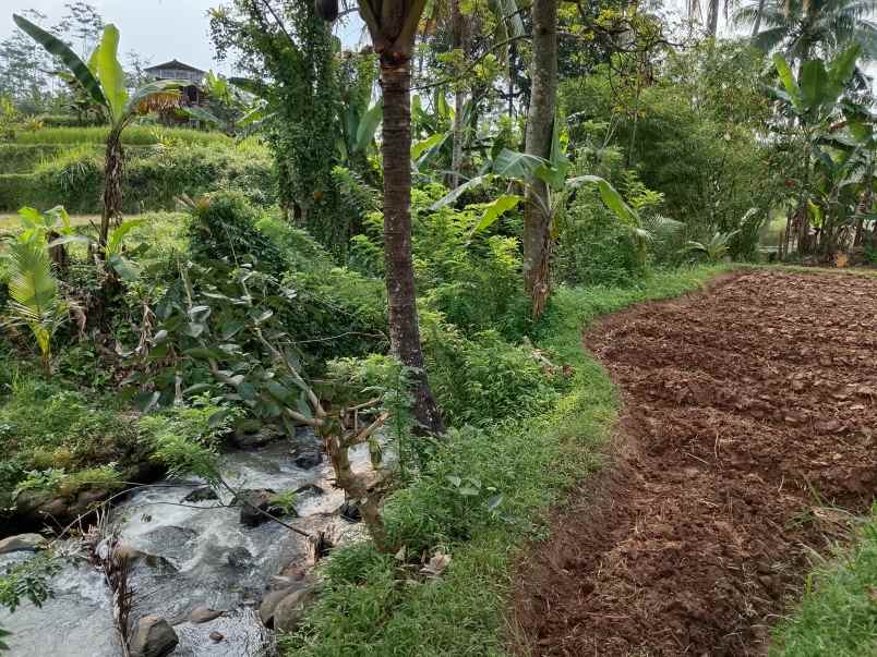 tanah dekat sungai view sawah subang jawa barat