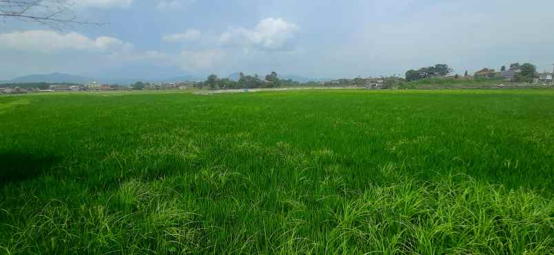 tanah jalan raya sapan