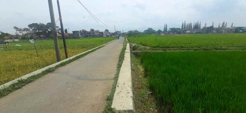 tanah jalan raya sapan