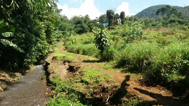 tanah jalan tengger agung desa