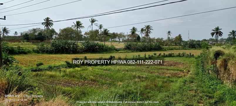 tanah jl soekarno hatta rajabasa