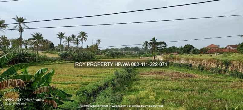 tanah jl soekarno hatta rajabasa