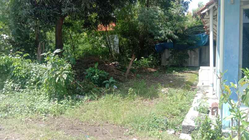 tanah jln swasembada majasem