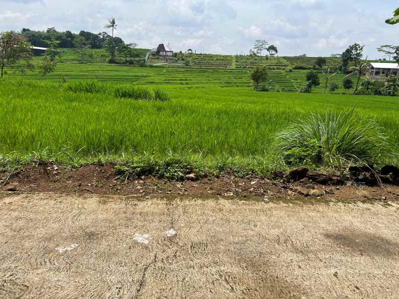 tanah karangpandan 1670m datar subur karanganyar