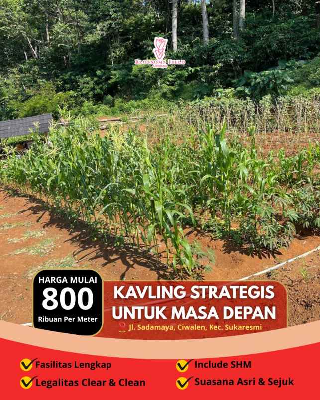 tanah kavling strategis di sukaresmi cianjur