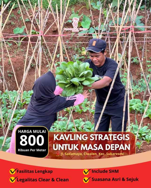 tanah kavling strategis di sukaresmi cianjur