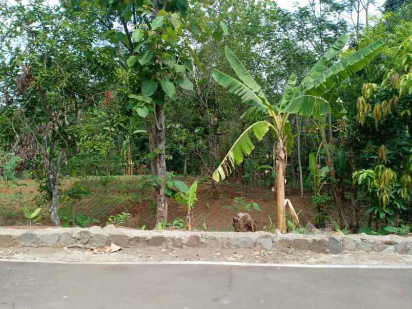 tanah kerjo karanganyar