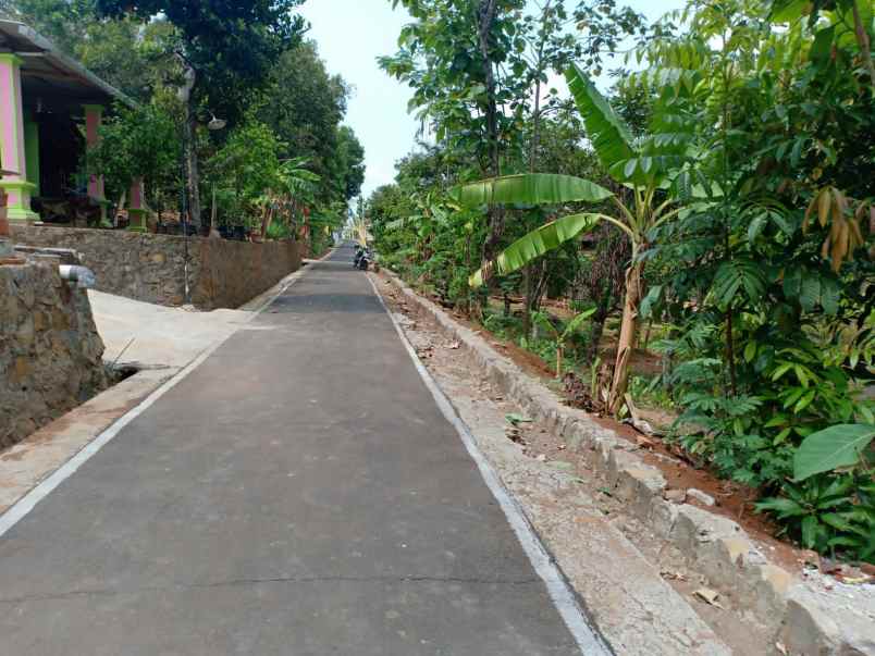 tanah kerjo karanganyar