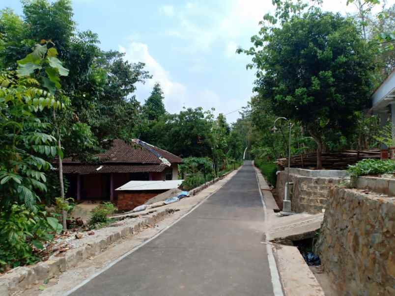 tanah kerjo karanganyar