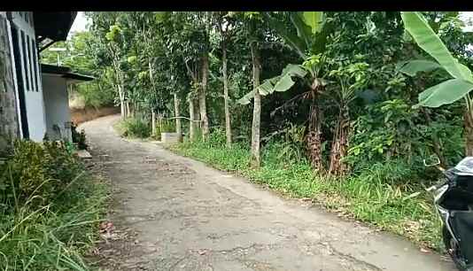 tanah kp cikopo desa jasinga kab