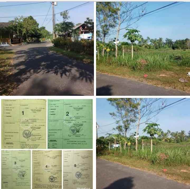 tanah maguwoharjo depok sleman