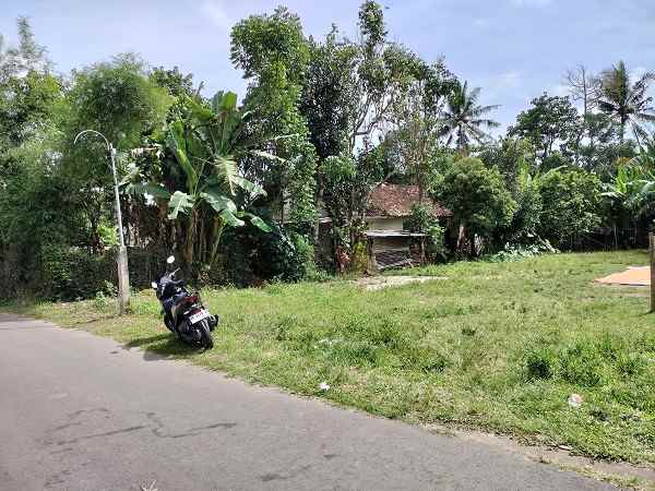 tanah murah cocok untuk kavlingan di margoagung sleman