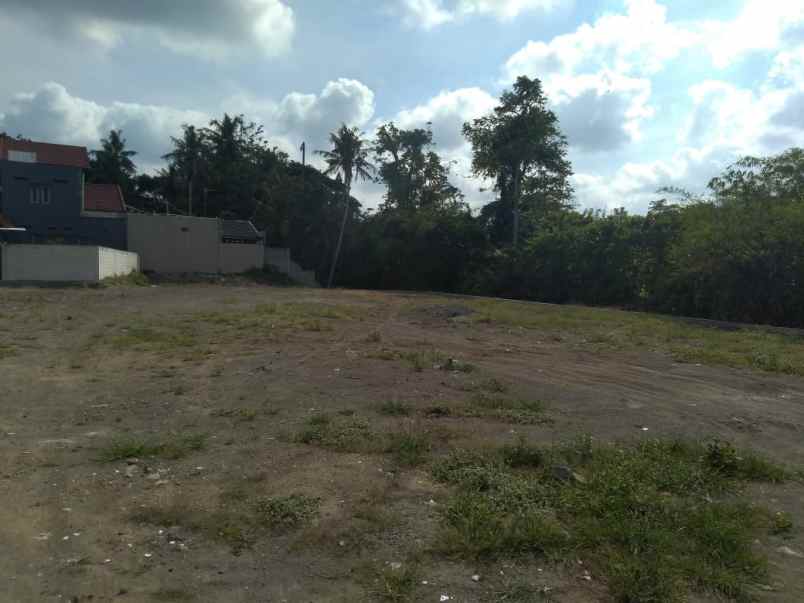 tanah murah yogyakarta 100 m jl raya taman siswa shm