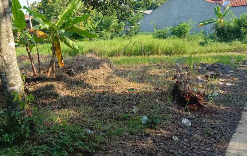 tanah pudakpayung banyumanik semarang
