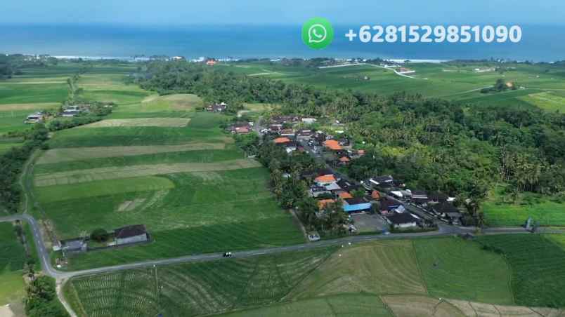 tanah sawah zona pink pariwisata di tabanan bali