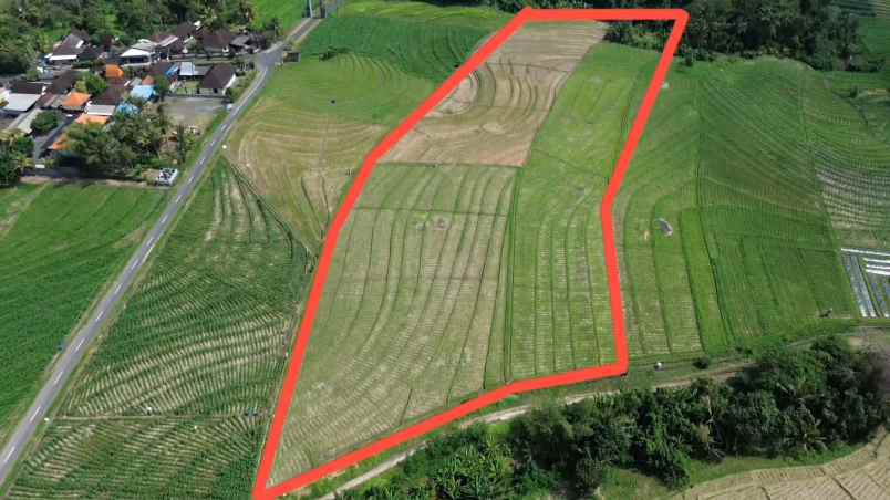 tanah sawah zona pink pariwisata di tabanan bali