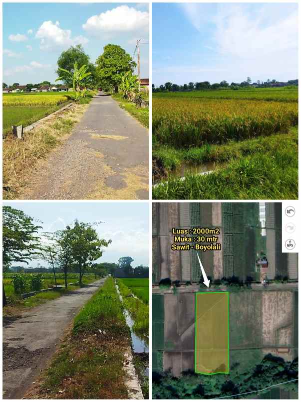 tanah sawit boyolali