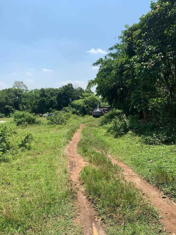 tanah shm strategis di serang banten