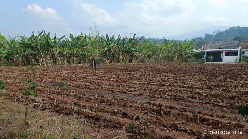 tanah siap bangun di raden gunawan hajimena 1600m shm