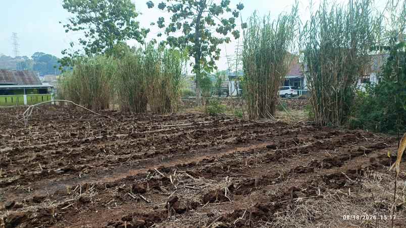 tanah siap bangun di raden gunawan hajimena 1600m shm